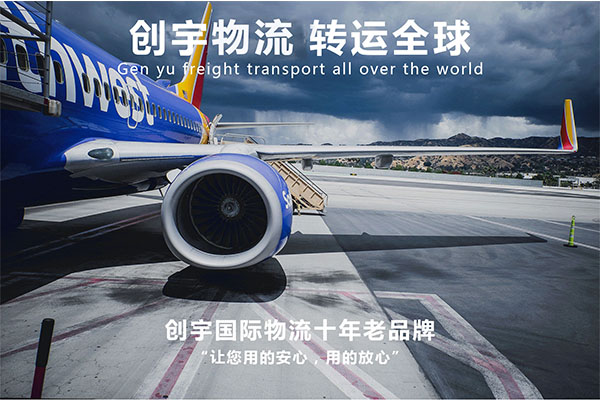 河南郑州个人食品可以发DHL国际快递到美国吗？