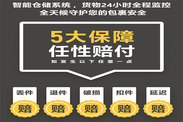 河南开封个人食品可以发DHL国际快递到美国吗?